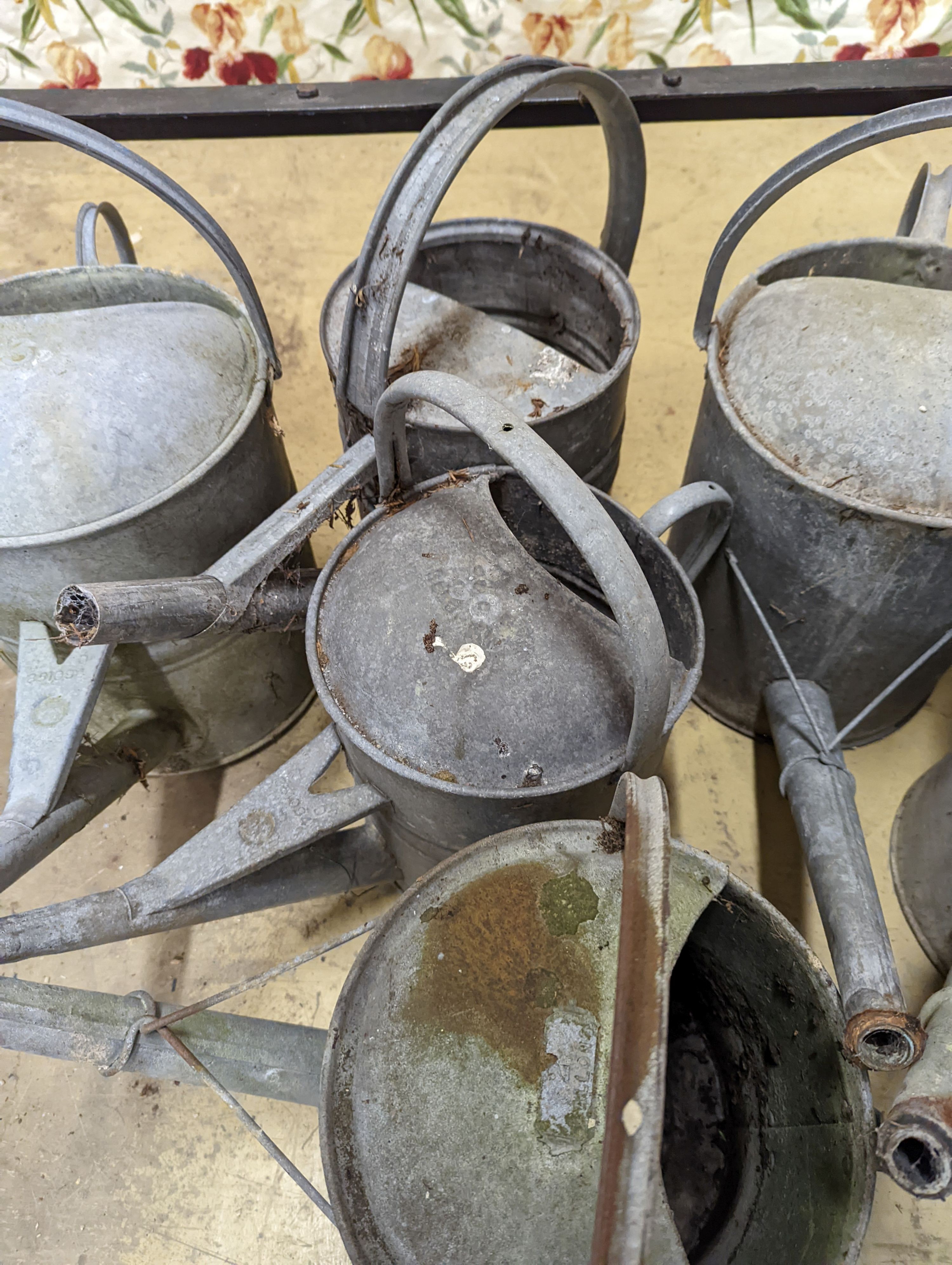 Ten vintage galvanised watering cans.